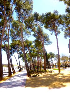 Campo de Criptana - Parque Luis Cobos 2