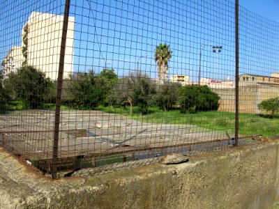 Campo Sperimentale della Stazione Sperimentale Industrie Essenze e Derivati Agrumi (SSEA) - Reggio Calabria, Italy - 7 Oct. 2009 - (5)