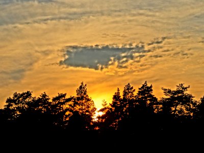 Bydgoszcz Forest 9 04-2014