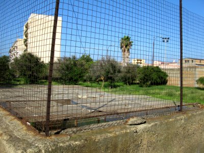 Campo Sperimentale della Stazione Sperimentale Industrie Essenze e Derivati Agrumi (SSEA) - Reggio Calabria, Italy - 7 Oct. 2009 - (6)