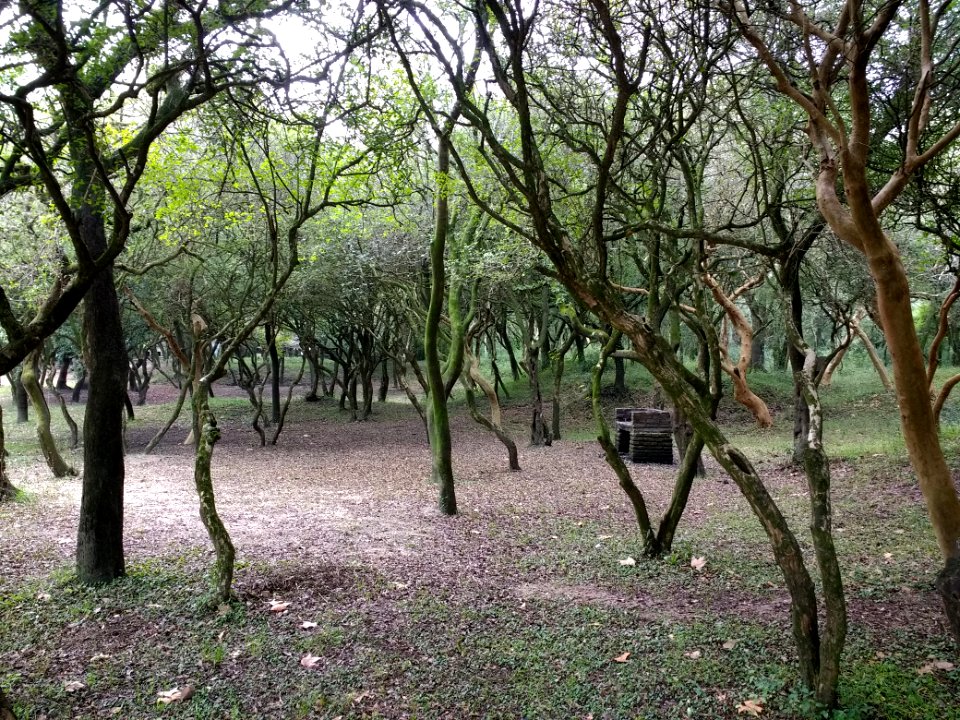 Camping "33 Orientales"