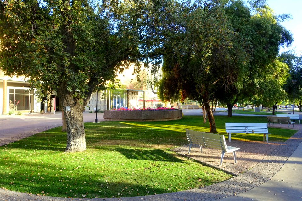 Campus view - Arizona State University - Tempe, AZ - DSC05932