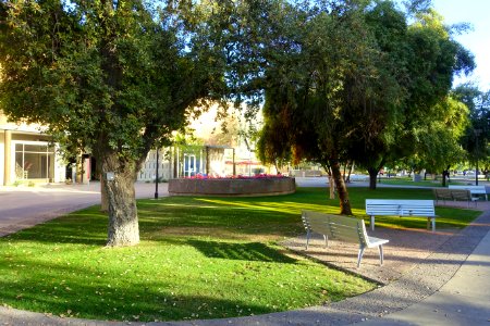 Campus view - Arizona State University - Tempe, AZ - DSC05932
