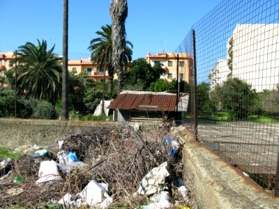 Campo Sperimentale della Stazione Sperimentale Industrie Essenze e Derivati Agrumi (SSEA) - Reggio Calabria, Italy - 7 Oct. 2009 - (13)