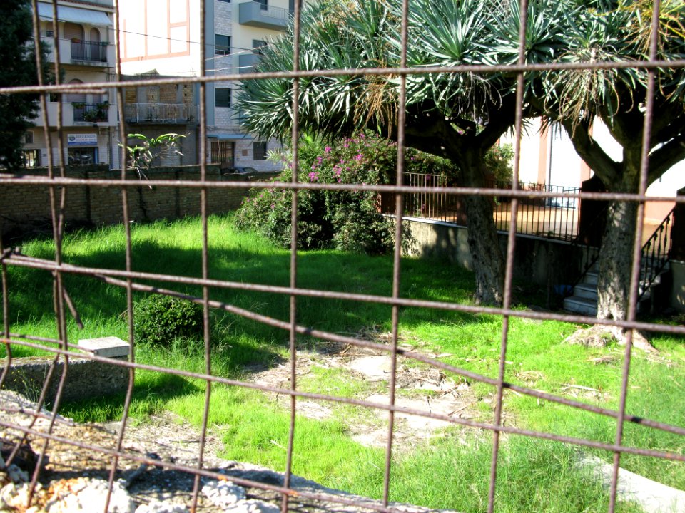 Campo Sperimentale della Stazione Sperimentale Industrie Essenze e Derivati Agrumi (SSEA) - Reggio Calabria, Italy - 7 Oct. 2009 - (14)