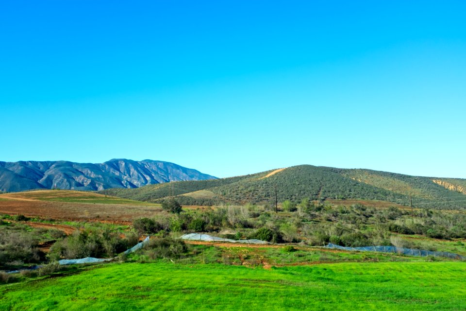Campo en el departamento de Ensenada