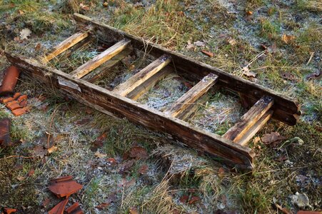 Frost forget old