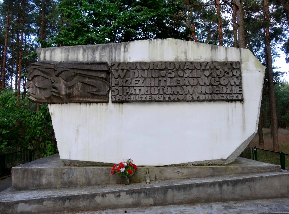 Bydgoszcz Forest 2 07-2014