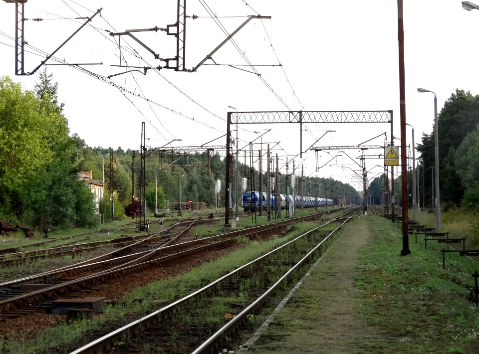 Bydgoszcz Emilianowo 6 08-2014