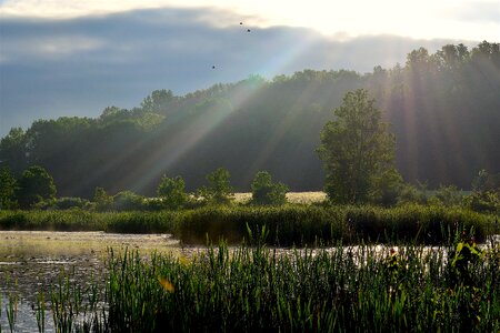 Nature landscape water
