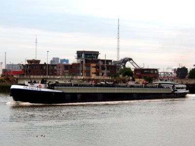 Calendula 12 - ENI 02317655, Van Cauwelaertsluis, Port of Antwerp pic2