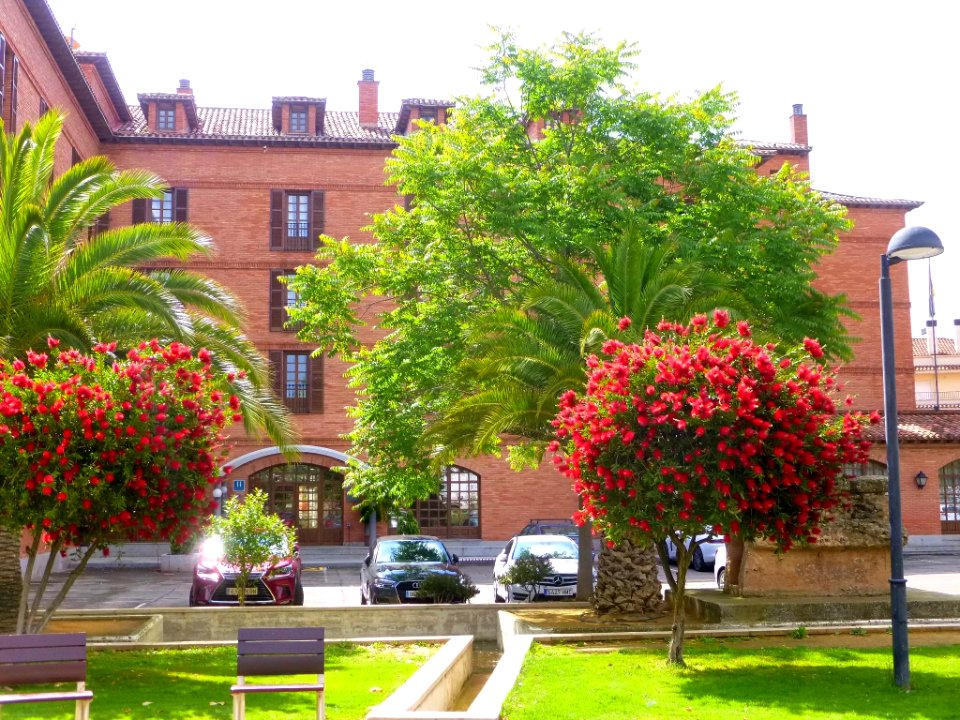 Calahorra - Parador de Turismo Marco Fabio Quintiliano 05