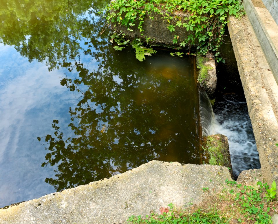 Bypass Flume head lock 6