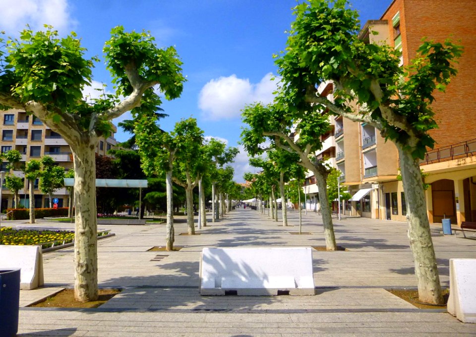 Calahorra - Paseo del Mercadal 4