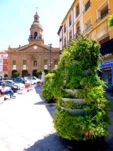 Calahorra - Plaza el Raso 2