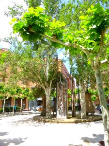 Calahorra - Plaza de la Libertad 4