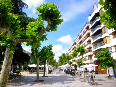 Calahorra - Paseo del Mercadal 5