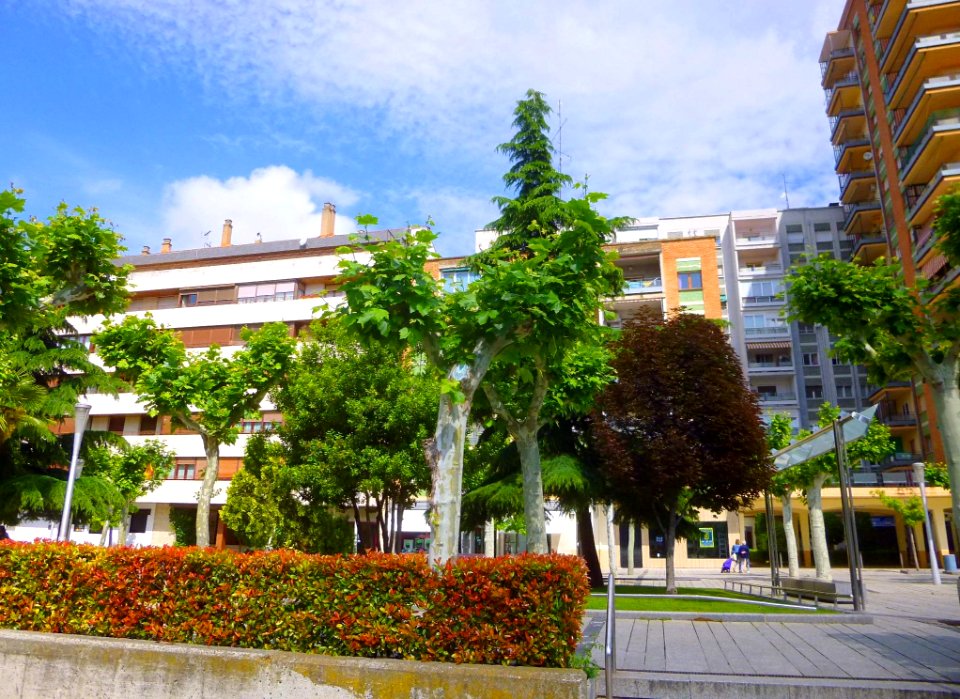 Calahorra - Paseo del Mercadal 3