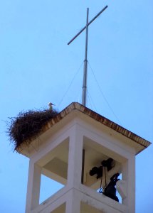Calahorra - Parroquia de los Santos Mártires 6