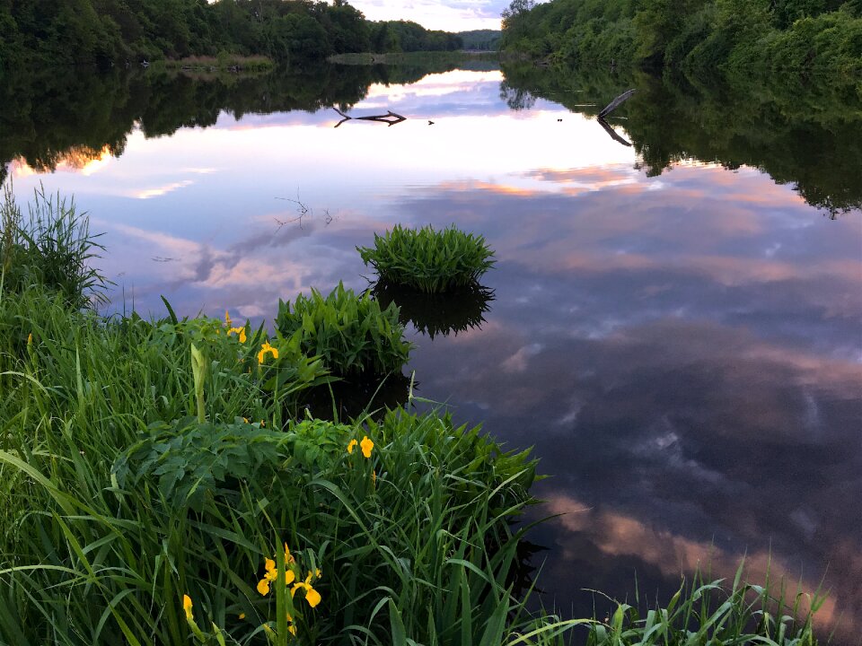Water landscape nature