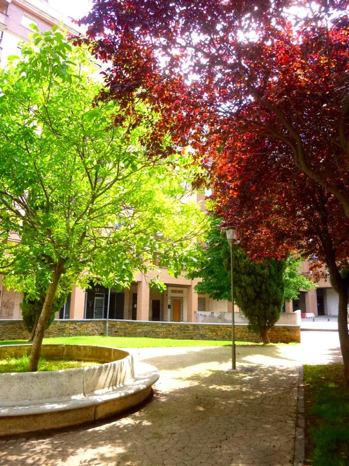Calahorra - Plaza Diego Camporredondo 2