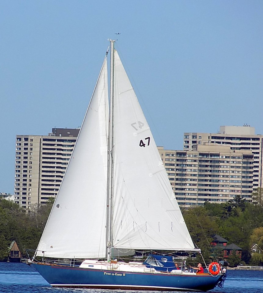 C&C Corvette 31 sailboat Free N Easy II cropped 0491