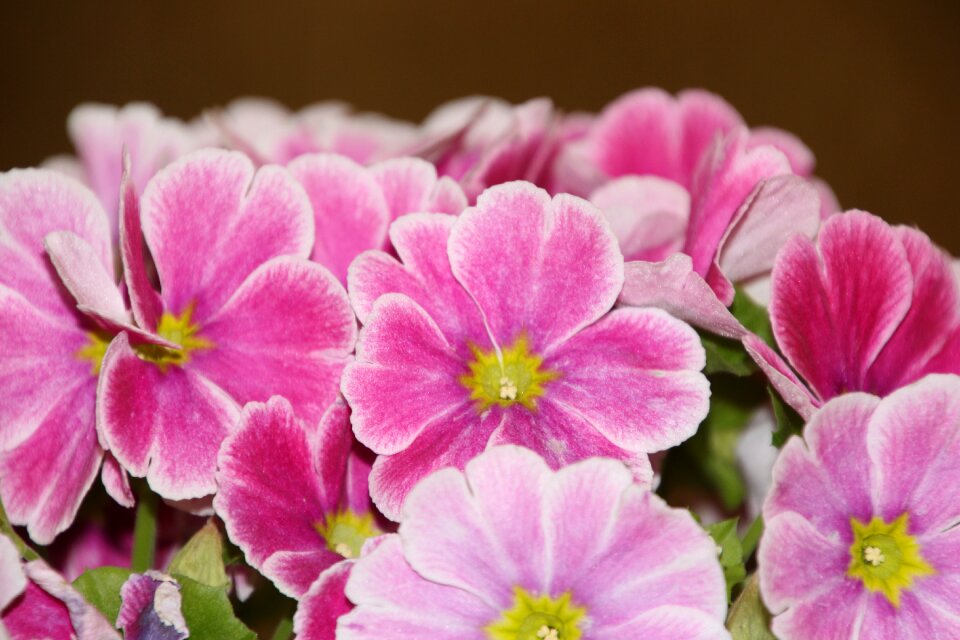 Garden decoration vase