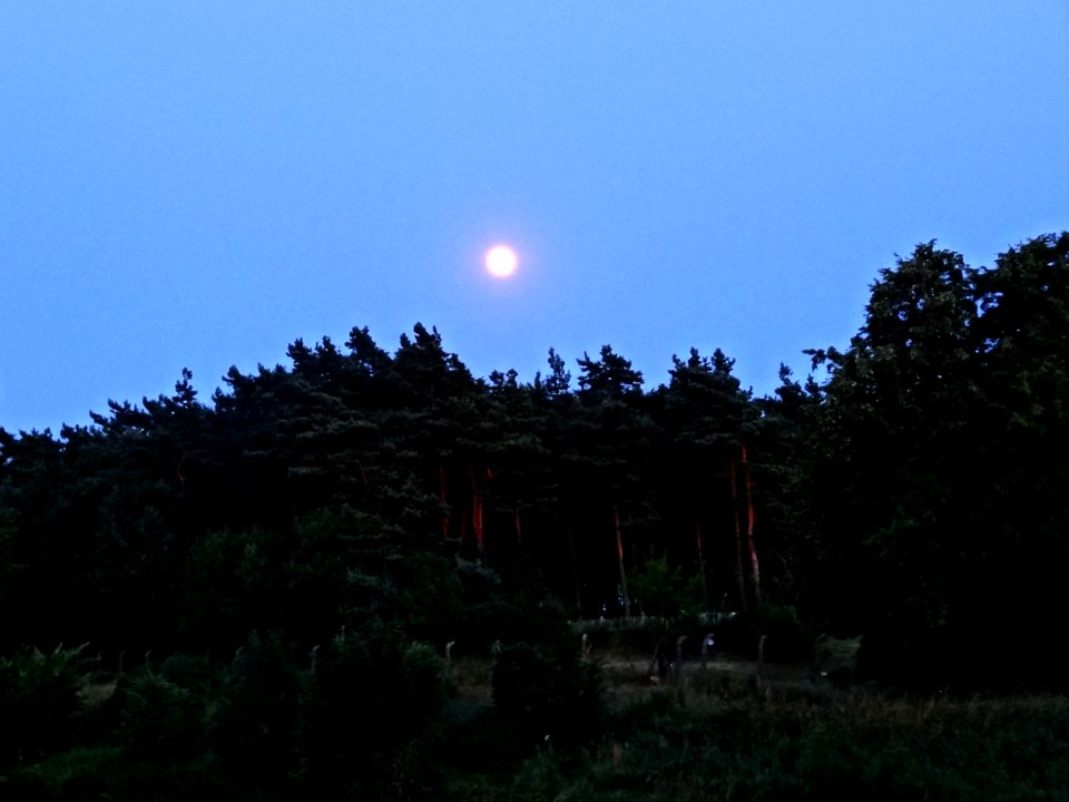 Bydgoszcz Canal moon 15 07-2014