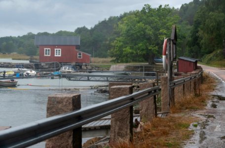 By the road in the rain at Holma marina