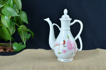 Porcelain container kettle
