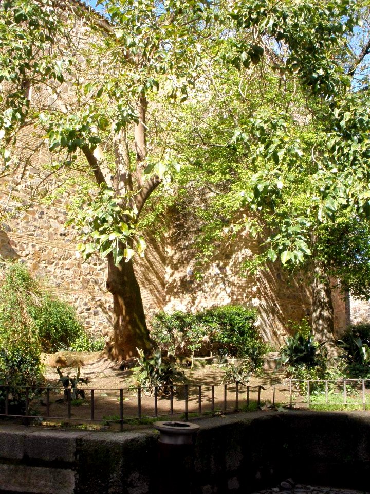 Cáceres - Plaza del Conde de Canilleros 2