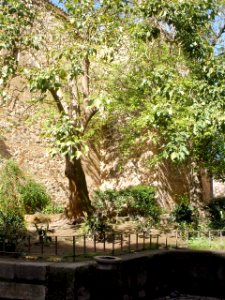 Cáceres - Plaza del Conde de Canilleros 2
