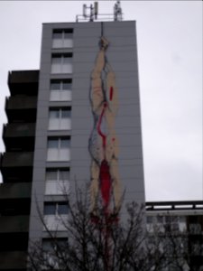 Bxgraf50