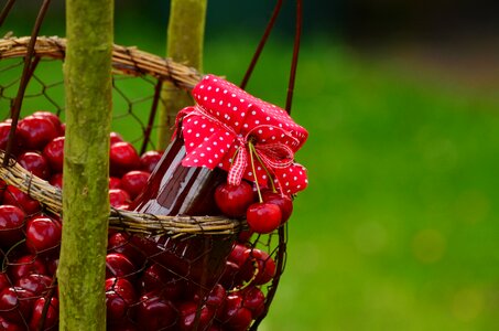 Sweet cherry cherry harvest fruit