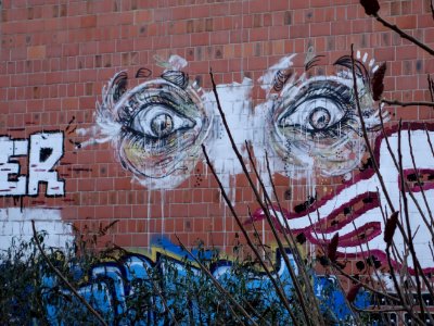 Bxgraf41