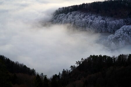 Cold sea of fog mood