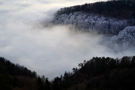 Cold sea of fog mood photo