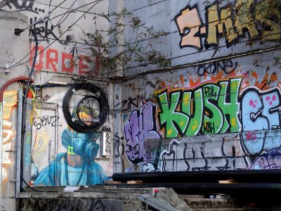 Bxgraf6