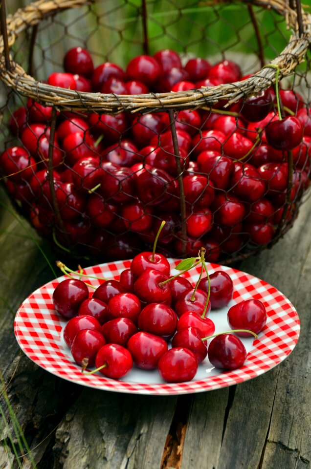 Cherry harvest fruit red