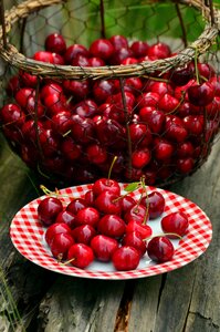 Cherry harvest fruit red