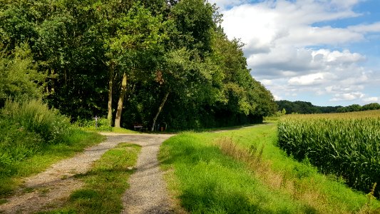 Cadier en Keer-wegkruis Achterbergweg-Verlengde Achterbergweg (1)
