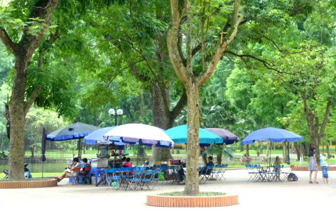 Cafe - Hanoi Botanical Garden - Hanoi, Vietnam - DSC03619