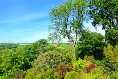Caerhayes Castle gardens - Cornwall, England - DSC03216