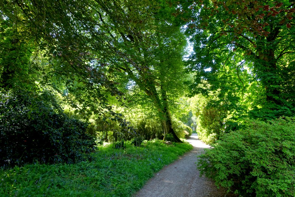 Caerhayes Castle gardens - Cornwall, England - DSC02896