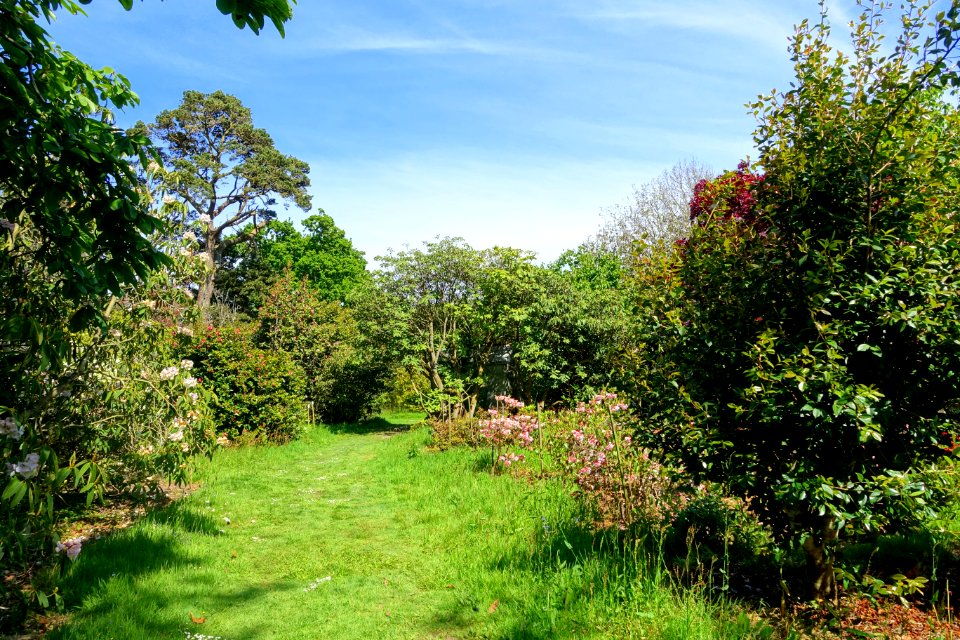 Caerhayes Castle gardens - Cornwall, England - DSC03108