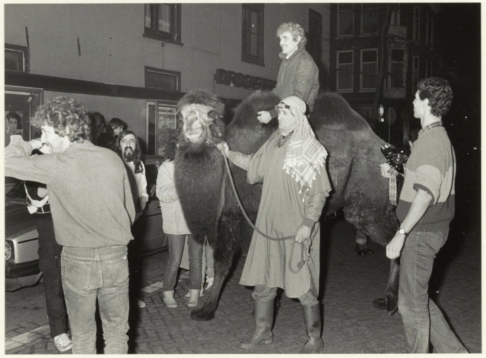 Cafébaas op kameel in de Lange Herenstraat. NL-HlmNHA 54021251