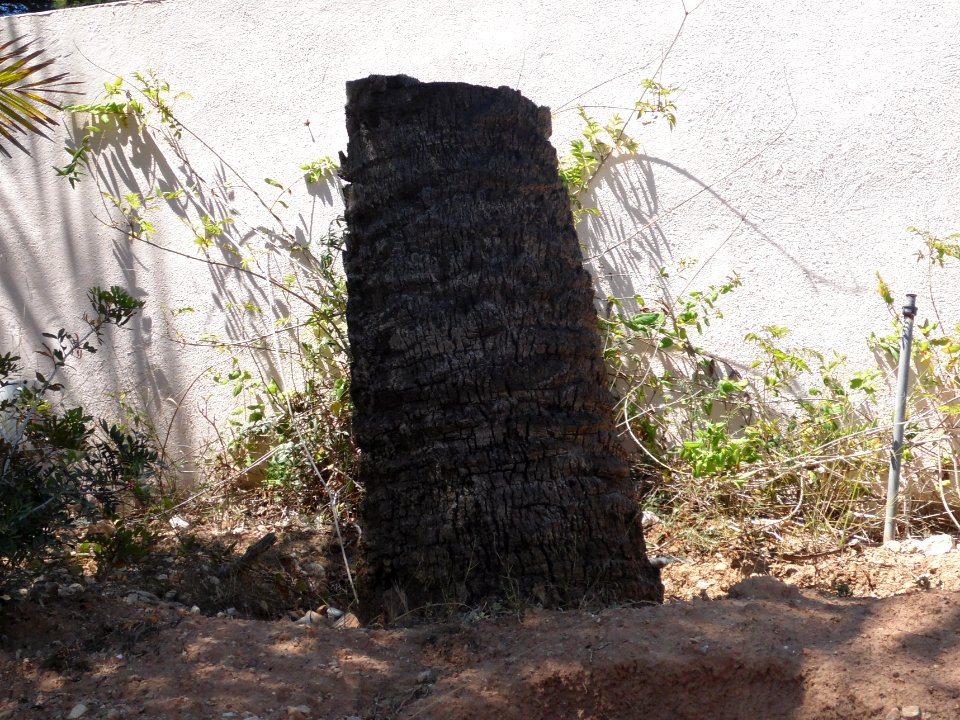 CALA CONTESA - MAJORKA, AB-068