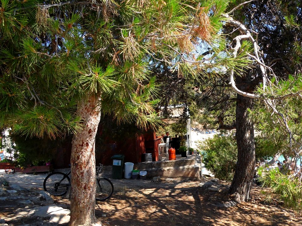CALA CONTESA - MAJORKA, AB-013