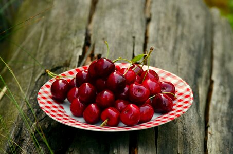 Cherry harvest fruit red photo
