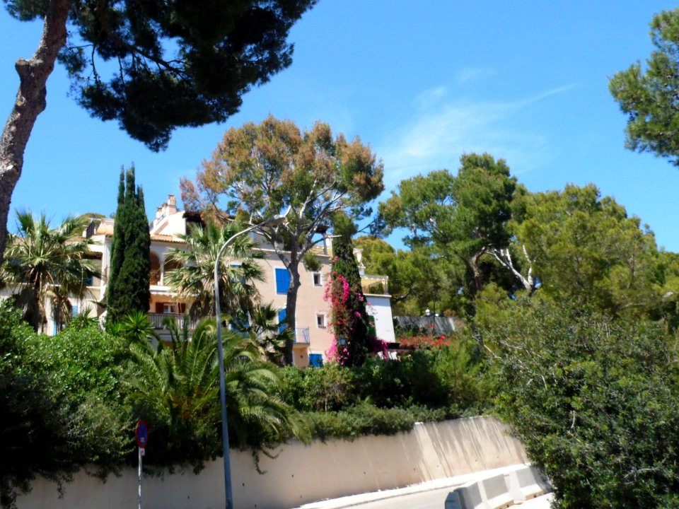 CALA CONTESA - MAJORKA, AB-063